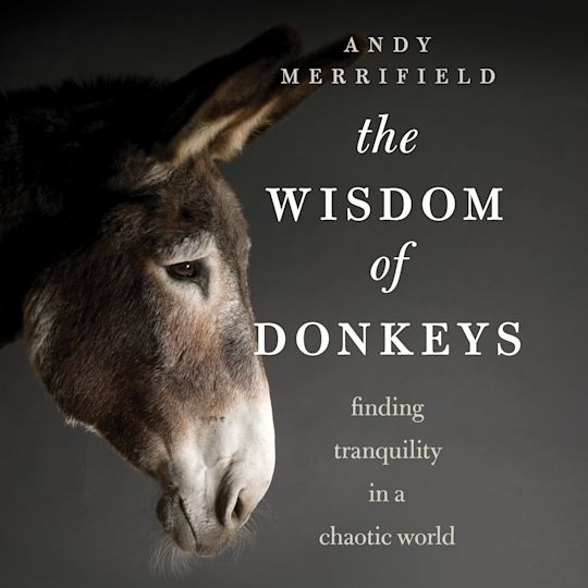 The Wisdom of Donkeys cover