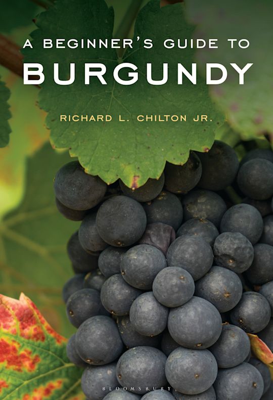 A Beginner's Guide to Burgundy cover