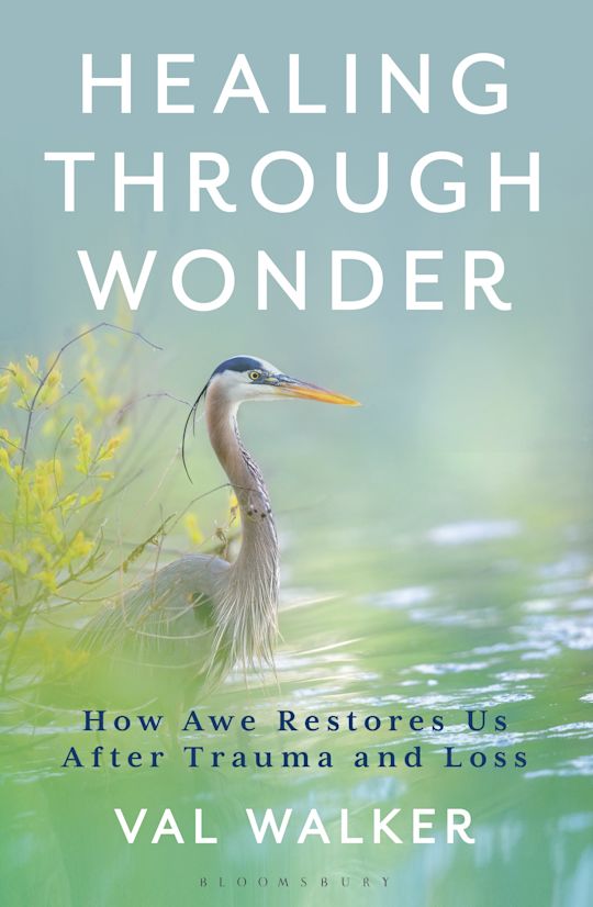 Healing Through Wonder cover