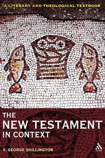 The New Testament in Context cover