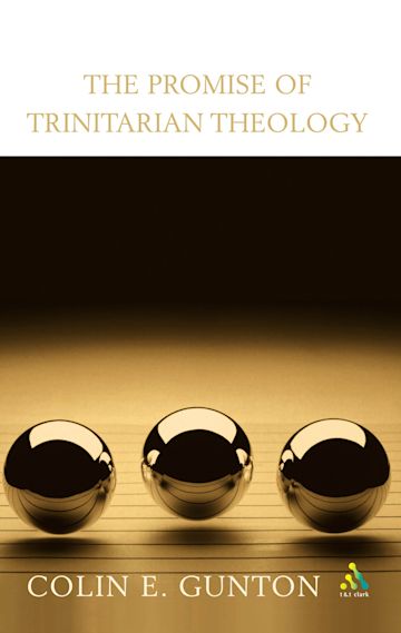 The Promise of Trinitarian Theology cover