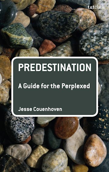 Predestination: A Guide for the Perplexed cover