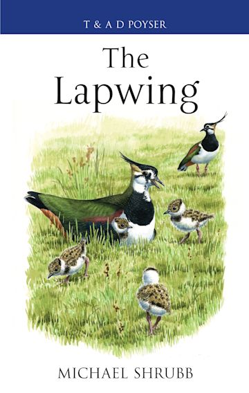 The Lapwing cover