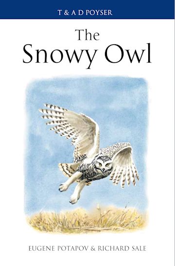 The Snowy Owl cover