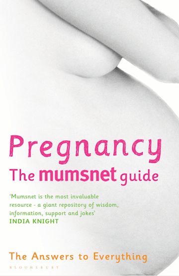 Pregnancy: The Mumsnet Guide cover