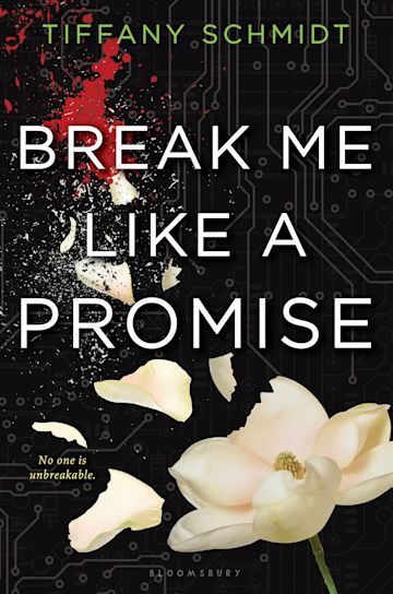 Break Me Like a Promise cover