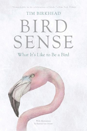 Bird Sense cover