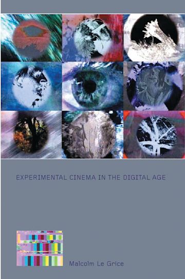 Experimental Cinema in the Digital Age cover