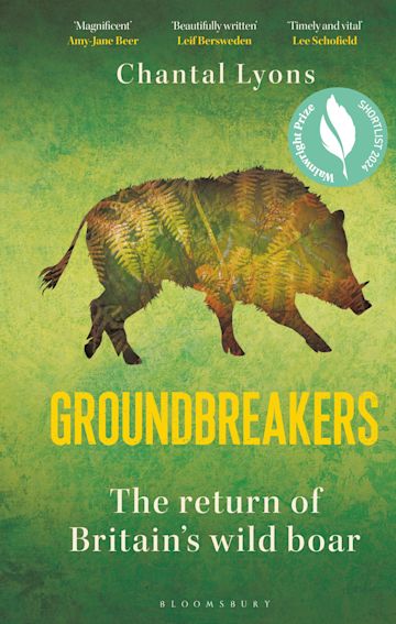 Groundbreakers cover