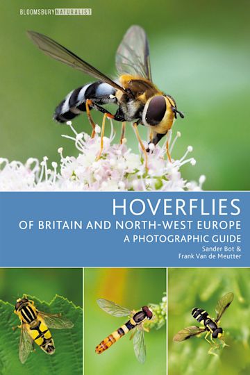 Hoverflies of Britain and North-west Europe cover