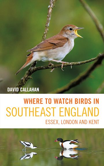 Where to Watch Birds in Southeast England cover