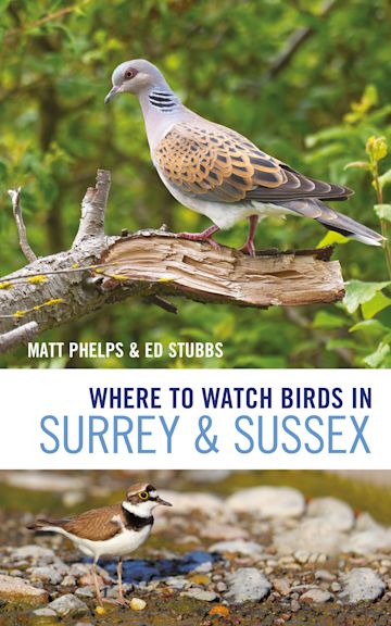 Where to Watch Birds in Surrey and Sussex cover