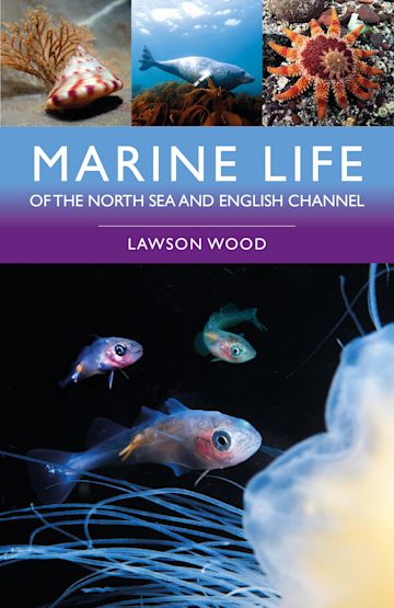Marine Life of the North Sea and English Channel cover