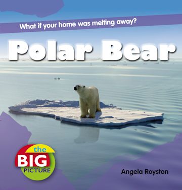 Polar Bear cover