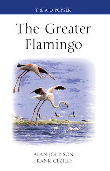 The Greater Flamingo cover