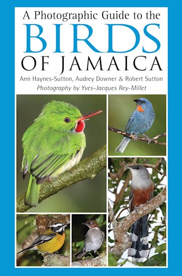 A Photographic Guide to the Birds of Jamaica cover