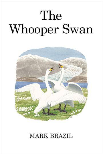 The Whooper Swan cover