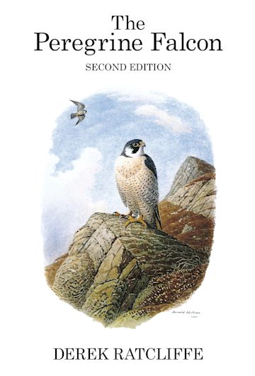 The Peregrine Falcon Poyser Monographs Derek Ratcliffe T Ad Poyser