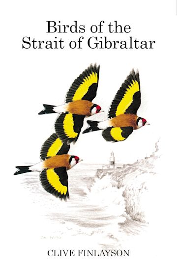 Birds of the Strait of Gibraltar cover