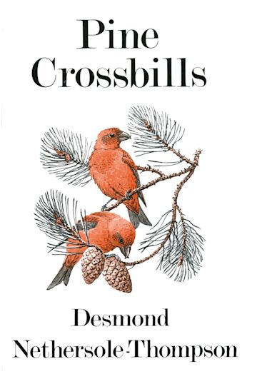 Pine Crossbills cover