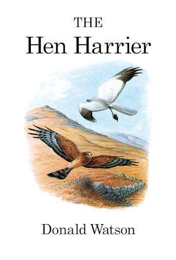 The Hen Harrier cover