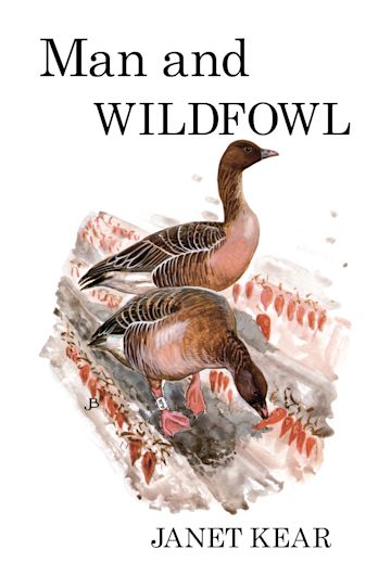 Man and Wildfowl cover