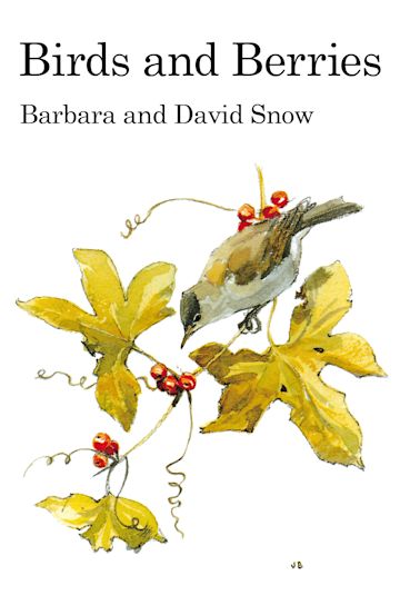 Birds and Berries cover