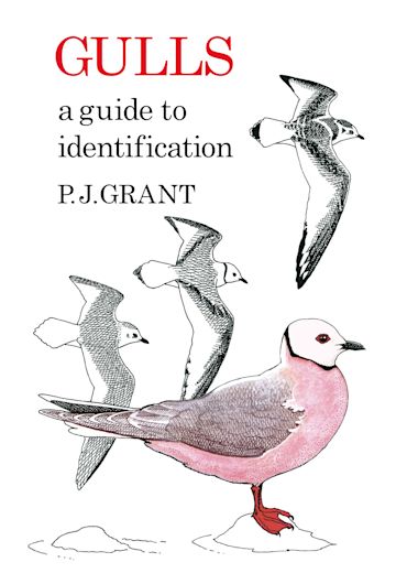 Gulls: A Guide to Identification. 2nd Edition cover