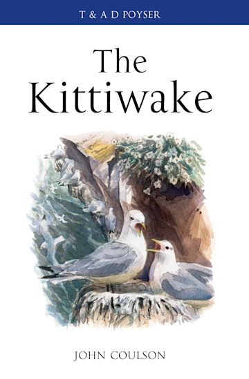 The Kittiwake cover