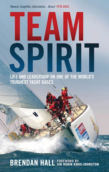 Team Spirit cover