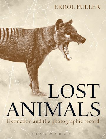 Lost Animals cover