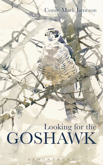 Looking for the Goshawk cover