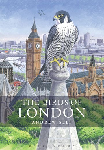 The Birds of London cover