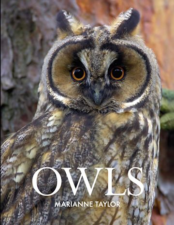 Owls cover