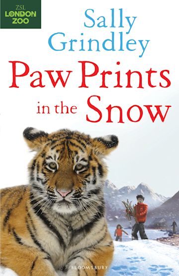 Paw Prints in the Snow cover