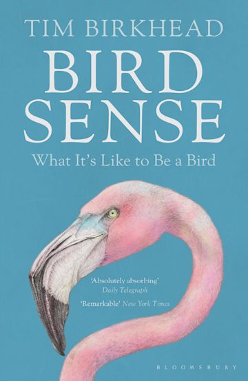 Bird Sense cover