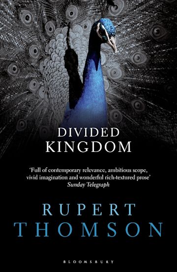 Divided Kingdom cover