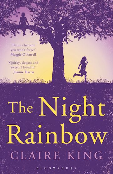 The Night Rainbow cover