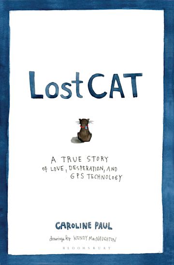 Lost Cat cover