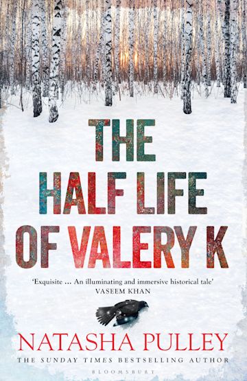 The Half Life of Valery K cover