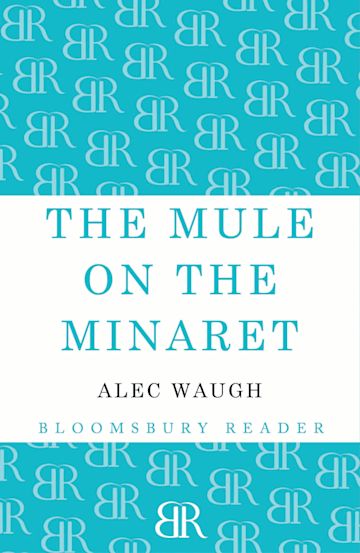 The Mule on the Minaret cover