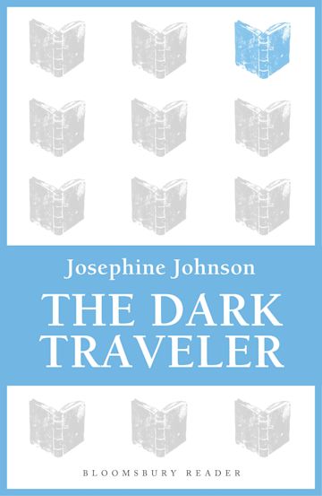 The Dark Traveler cover