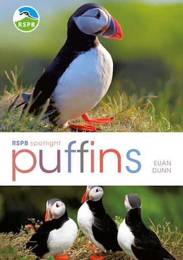 RSPB Spotlight: Puffins cover