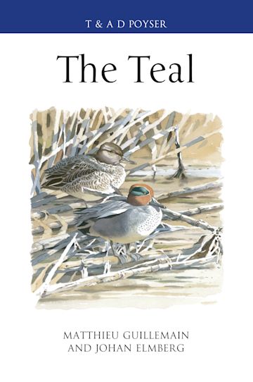 The Teal cover