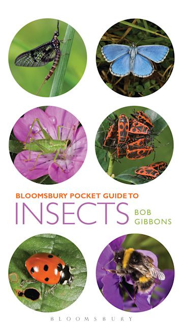 Pocket Guide to Insects cover