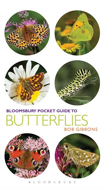 Pocket Guide to Butterflies cover