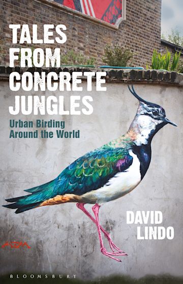 Tales from Concrete Jungles cover