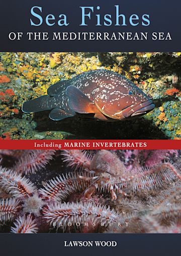 Sea Fishes Of The Mediterranean Including Marine Invertebrates cover