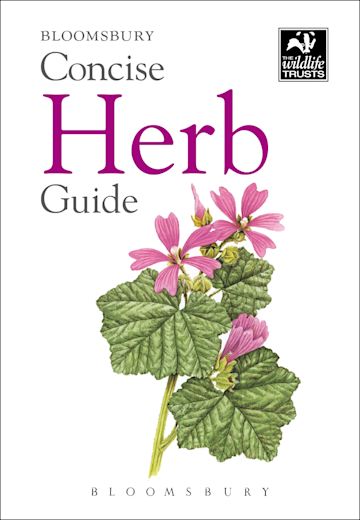 Concise Herb Guide cover