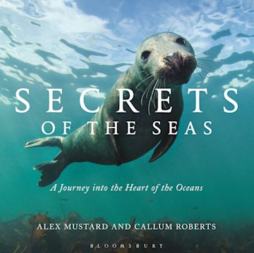 Secrets of the Seas cover